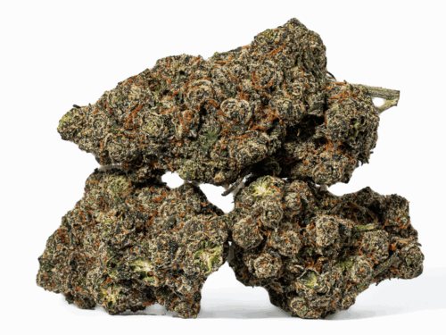 Sunset Runtz (AAAA+)