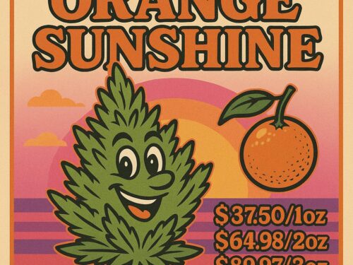 Orange Sunshine (Promo)