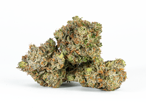 Ghost Ship (AAA+)