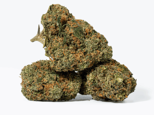 Ayahuasca Purple (AA+)