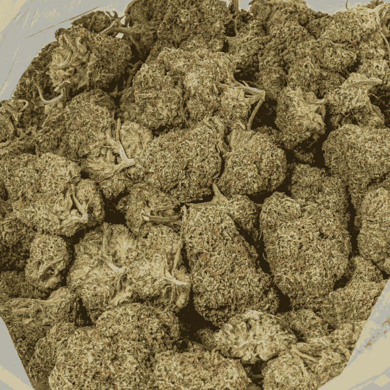 Raspberry Parfait (AA+) - Image 4