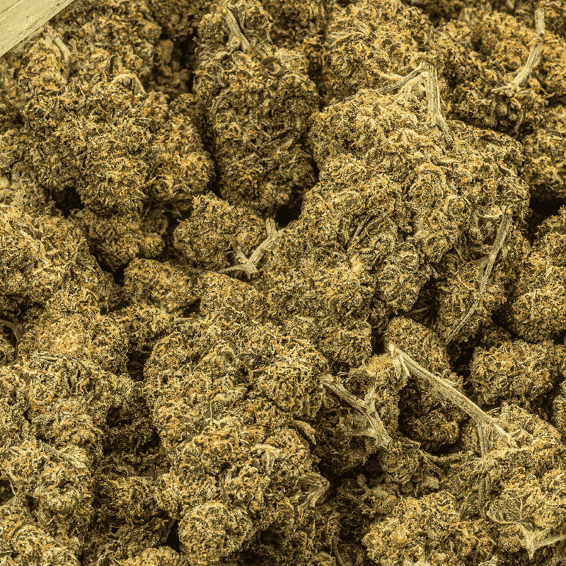 Blackout OG (AAA) - Image 4