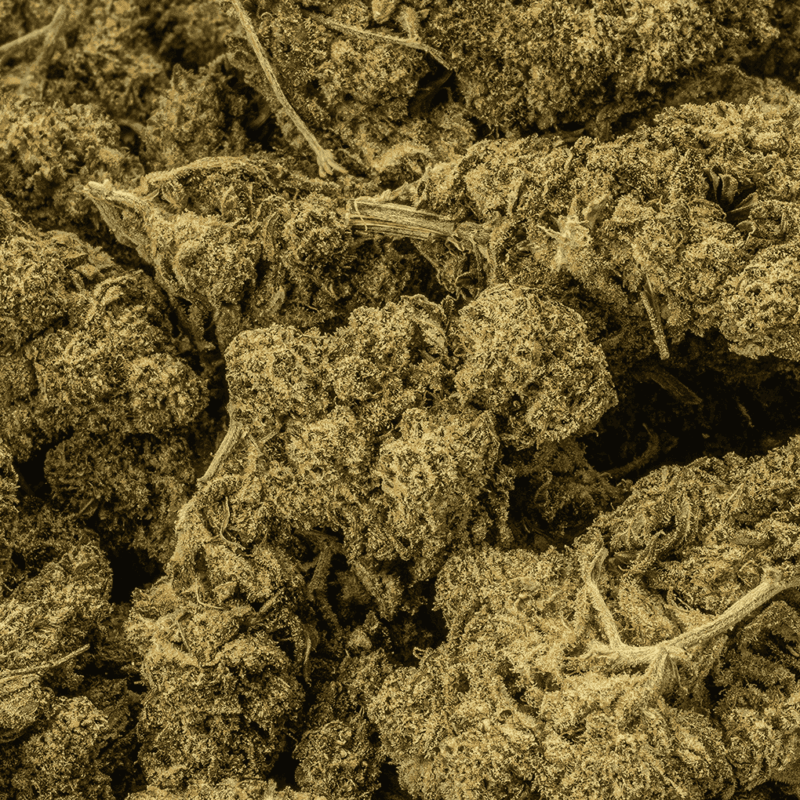 Cat Piss (AAA) - Image 4