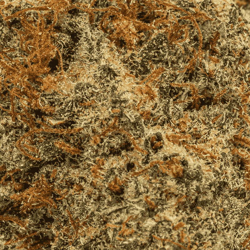 Cookies and Cream (AAA) - Image 5