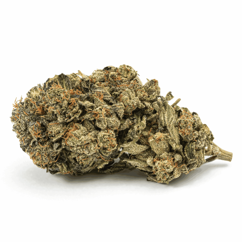 Dank Schrader (AAAA) - Image 3