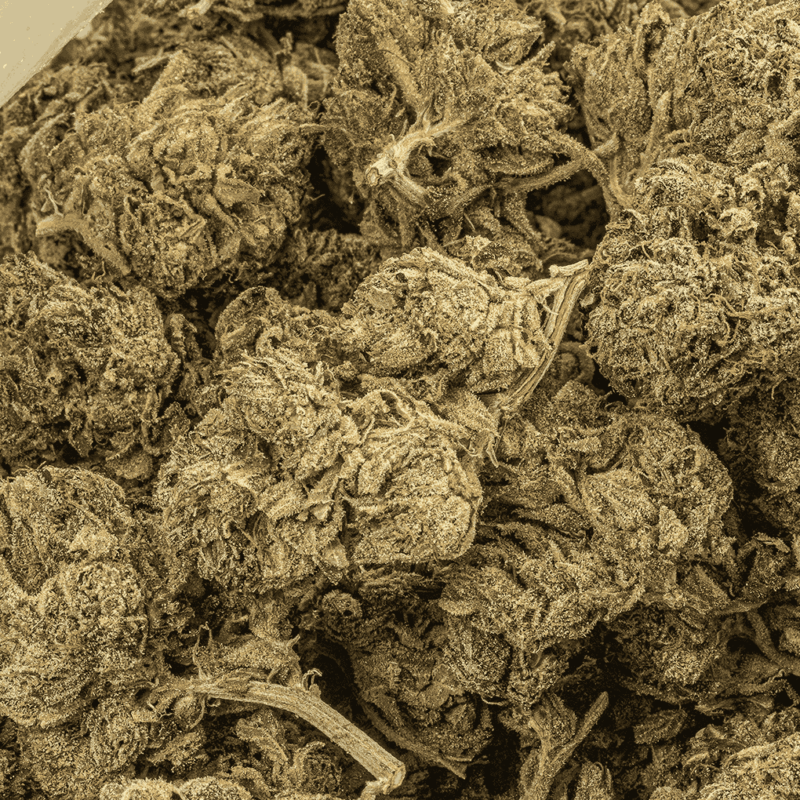 Dank Schrader (AAAA) - Image 4