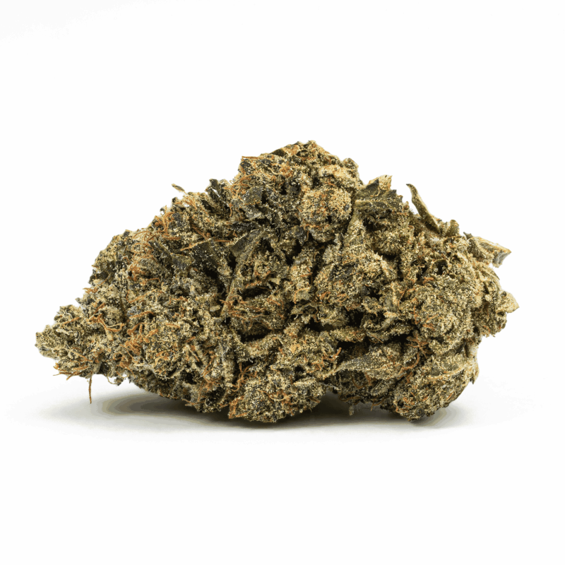 Starfighter (AAA+) - Image 3