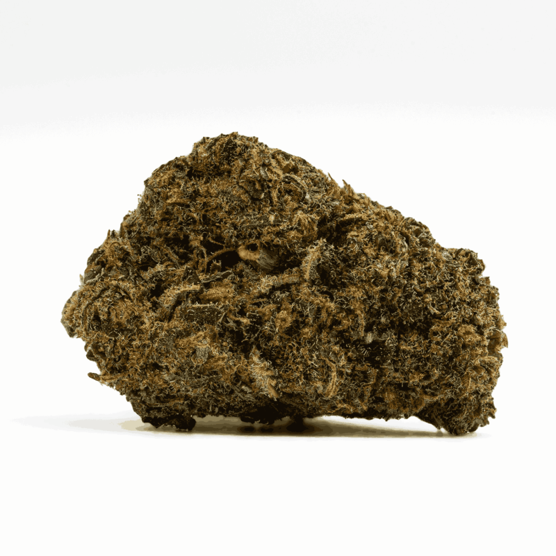 Agent Orange (AA) - Image 3