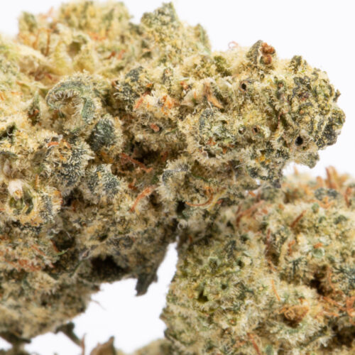 The Iced Zuchi high will start with a slow build, inching into your body with warming waves of relaxation. You'll find that your mind is lifted into a place of happy, heady calm that leaves you smiling and kicking back without any cares in the world. Physically, your body will be dropped off into a heavy stone that has you locked to the couch and ready to relax.