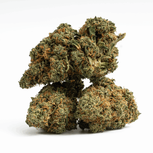 After smoking Lamb's Bread, you will immediately notice its uplifting effects. You will feel happy and euphoric all the while feeling incredibly creative at the same time. Due to it being a sativa dominant strain, its effects are cerebral. The mental stimulation is unlike any other and will lead you to another world entirely. You should not be surprised if you feel focused and energized after smoking the strain.