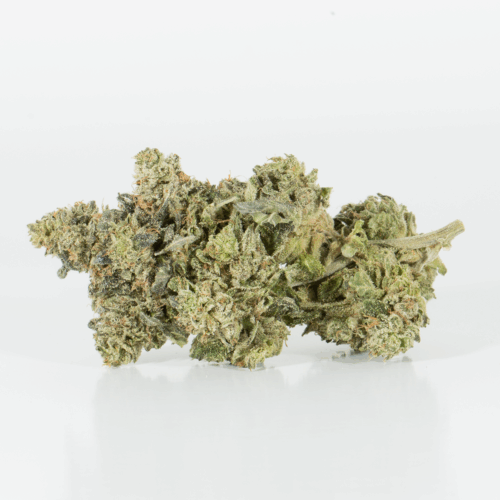 Northern Lights (AAA)