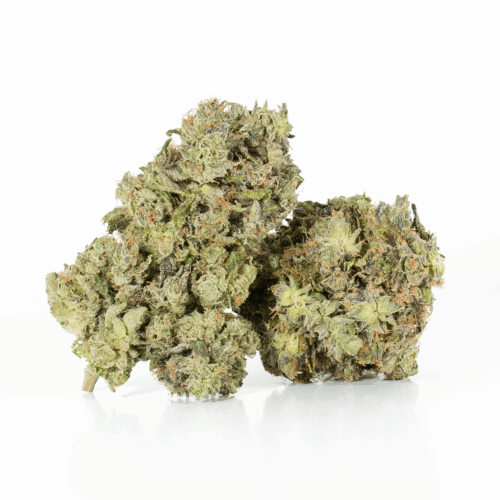 Primus packs a long-lasting euphoric high that is both energetic and relaxing without being too overwhelming in both mind and body, despite its indica dominance. The high begins with an immediate onset of a happy creative lift that boosts your mood and leaves you feeling insanely happy and at ease.