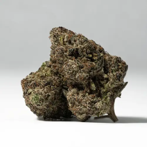 If you’re looking for a potent and soothing strain that can ease your mind and body, 9lb Hammer might be the perfect choice for you. This dank bud boasts an insanely high THC level that ranges from 23-27% on average, leaving you with the feeling that you were hit over the head with a hammer!