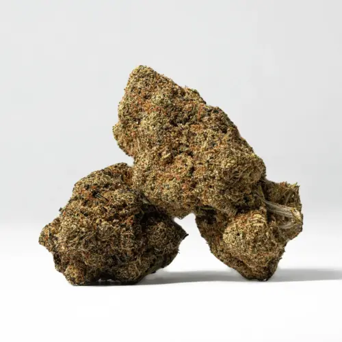 The Alien Mints high will wash over you slowly, beginning with a subtle lift that boosts the spirits and infuses you with a sense of pure happiness and ease. As your mind finds new heights of bliss, a deep relaxation will begin to permeate your body, allowing you to stretch out and settle down without affecting your mental state.