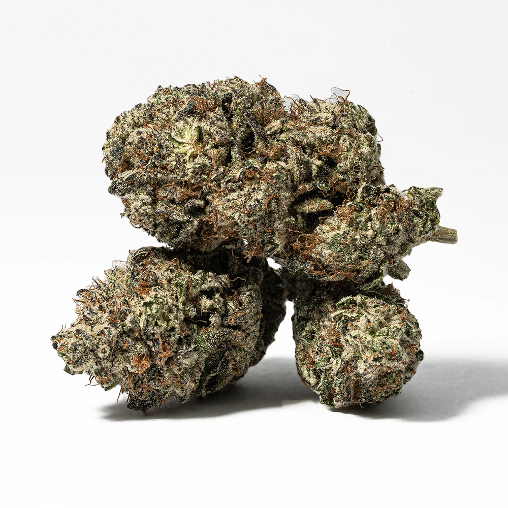 Amnesia Haze has a fresh, fruity hash-like taste and a sweet, earthy smell with hints of spicy pepper. The high is creative and euphoric, with a psychoactive mood boost and a case of the giggles.