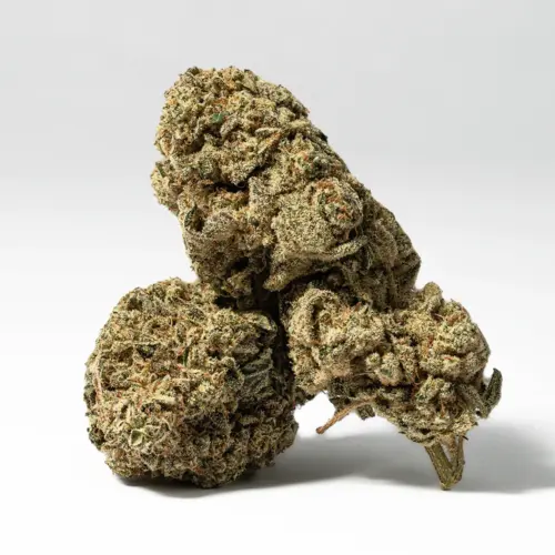 Bear Dance is the perfect choice to treat a variety of conditions including depression, headaches or migraines, PMS or cramps, and appetite loss. This bud has a sweet lemony earthy flavor with a potent punch of mint upon each eye opening exhale.