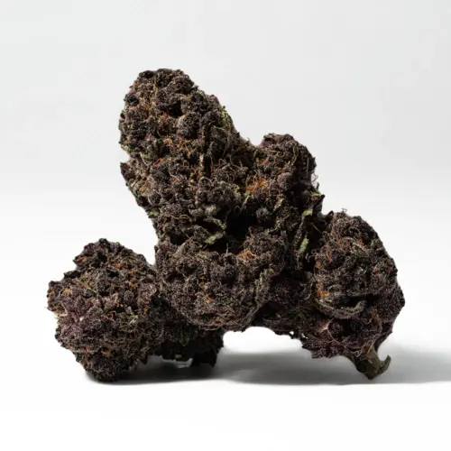 The Black Raspberry high is just as lifted as the flavor, with euphoric effects that will leave you flying for hours after just one hit. You'll feel a rush of happiness a few minutes after your first toke, immediately pushing out any negative or racing thoughts and leaving you with a sense of pure bliss and ease. An influx of creativity and sociability comes next, lending itself well to any social situations or casual conversations that you have on hand.