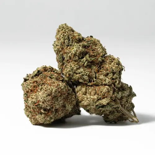 Users describe the Blue Dream high as having an immediate onset of an uplifting cerebral head high that leaves you completely motivated and focused with waves of creative energy that hit quickly and hard. This is accompanied by a mellow relaxing body high that leaves you warmed, numb, and completely pain free.