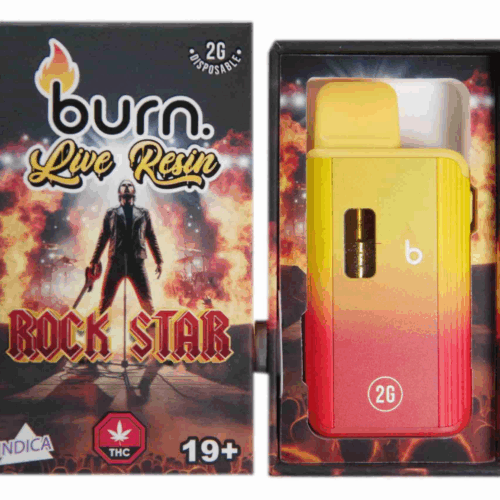 Burn Co Live Resin Disposable Vape Pen. A sleek, rechargeable vape packed with pure live resin from fresh-frozen cannabis. Enjoy rich flavor, full-spectrum effects, and a smooth, authentic experience with every puff.