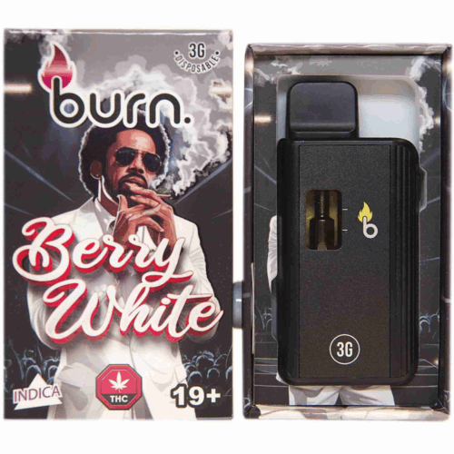 Burn Co Disposable 3G Vape - A powerful, rechargeable vape packed with 3 grams of premium distillate and natural terpenes. Enjoy smooth, flavorful hits and long-lasting effects in a sleek, hassle-free design.