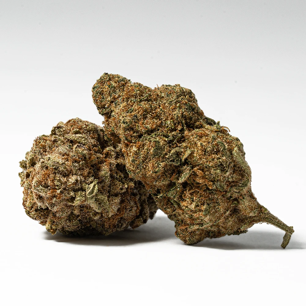 Cali OG is an hybrid strain and it has a 13-16% THC content. Additionally, they leave a sweet aftertaste which lingers in the mouth for quite some time. The strain delivers an exceptional cerebral experience.