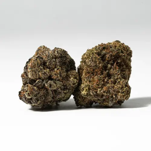 The Chem Dawg high very calming and euphoric in nature with well-balanced head and body effects. It starts with an uplifted effect that boosts your mood and replaces any negative or racing thoughts with blissful happiness. You'll feel a burst of creative inspiration that energizes you without causing anxiety or stress.