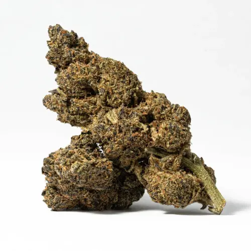 Cherry Mints is often chosen to treat a wide variety of conditions including chronic fatigue, ADD or ADHD, chronic stress and mood swings or depression. This bud has a sweet and fruity cherry flavor with a sugary and creamy exhale. The aroma is very sweet and sugary with a cherry berry overtone accented by minty cream and a touch of earthiness.