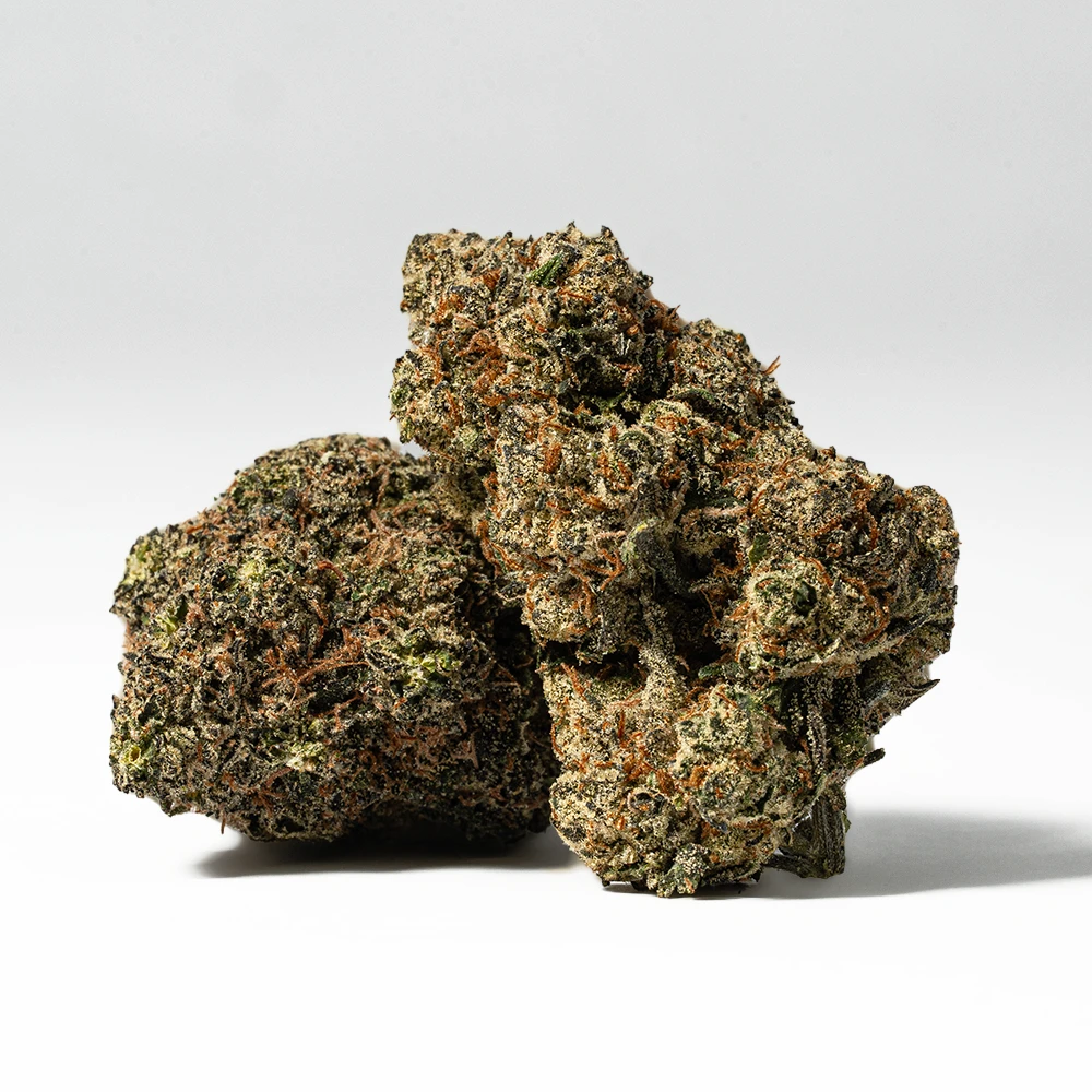 Citrus Skunk is an indica dominant hybrid strain (65% indica/35% sativa) created through crossing the iconic Citral X Skunk #1 strains. This celebrity child brings on the perfect well-balanced high with stimulating yet super relaxing effects that will have you feeling totally kicked back in no time.