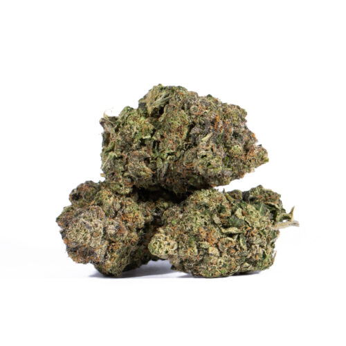 Amnesia Haze has a fresh, fruity hash-like taste and a sweet, earthy smell with hints of spicy pepper. The high is creative and euphoric, with a psychoactive mood boost and a case of the giggles.