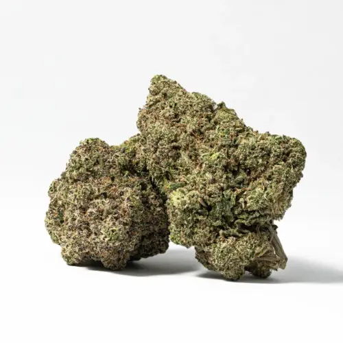 Those who smoke Do Si Dos can enjoy a stoney, in-your-face buzz off the start that melts down over the body, petrifying the consumer with relaxation that emanates outward. The dominant terpene in Dosidos is limonene.