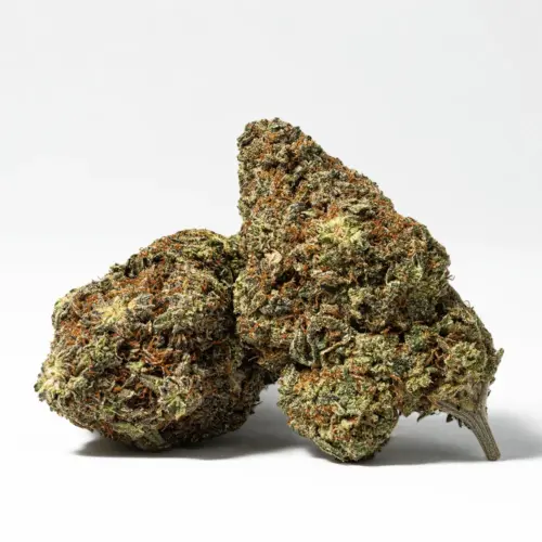 It has long been a favorite of stoners and medical marijuana patients here. Durban Poison has THC levels that can reach 20%, making it one of the world's more powerful strains. This strain hits with a strong, happy head high that's great for creativity and daytime errands.