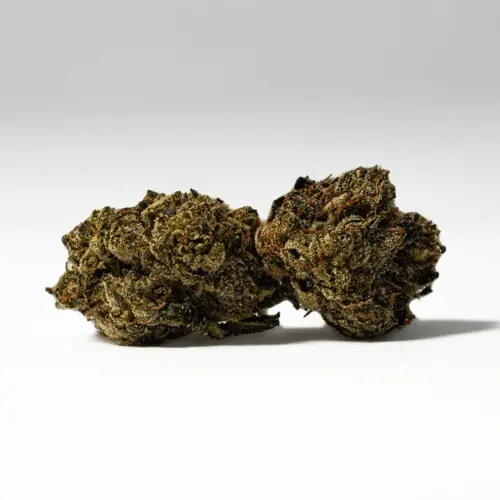 El Chapo high hits you first with a cerebral lift that boosts your mood before dropping you into complete sedation. As your mind falls victim to heavy stone, this feeling will spread throughout your limbs and slowly draw your body down into sleepy relaxation.