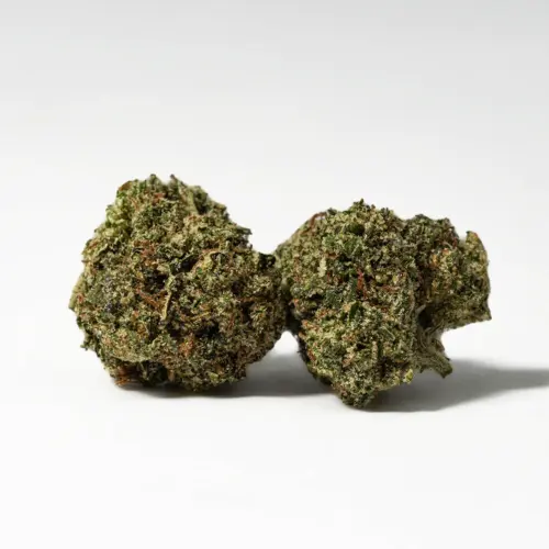 Gelato has a flavor that's said to be much like a sweet sherbet, with fruity blueberry and orange flavors. The aroma is just as sickly sweet, with a lavender citrus berry bouquet that has a woody effect as the nugs are broken apart and smoked. Although it has a tasty flavor, Gelato is definitely best loved for its effects. Even with its slight indica dominance, the high is head heavy in nature and won't leave you sedated or couch-locked.