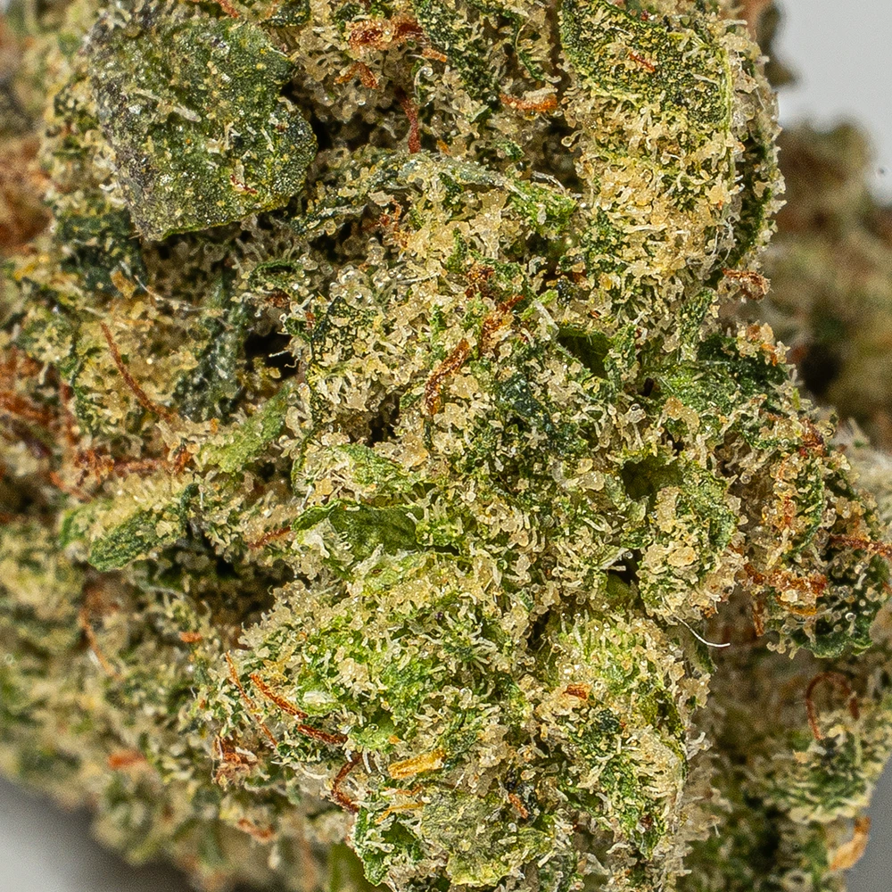 (Smalls) Gelato (AAA+) - Image 5