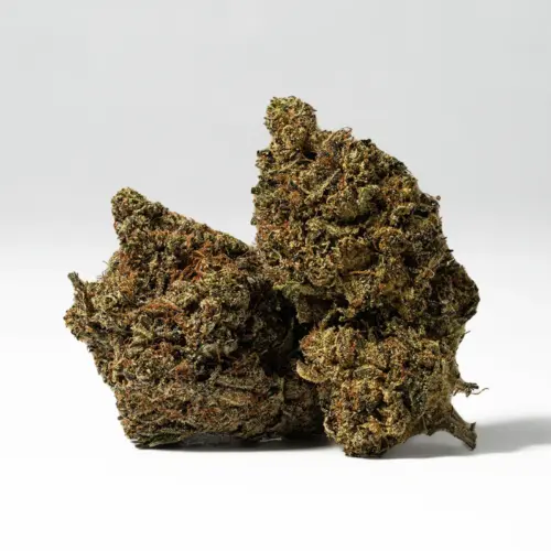 Godffather OG delivers piney and earthy flavors with pungent undertones and is incredibly potent at the same time. The high is unlike any other and is indescribable to say the least. It is powerful enough to knock you out for good if you are not careful.