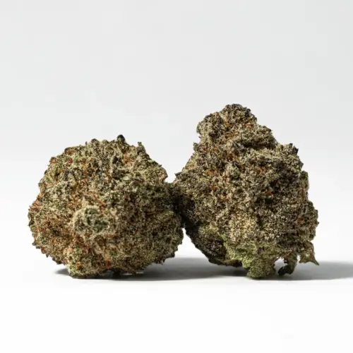 Gorilla Glue is said to be perfect for treating conditions such as chronic pain, depression, insomnia, nausea, and muscle spasms. The high starts with a cerebral rush that leaves you feeling happy yet totally hazy, with no hope of focusing on anything any time soon.