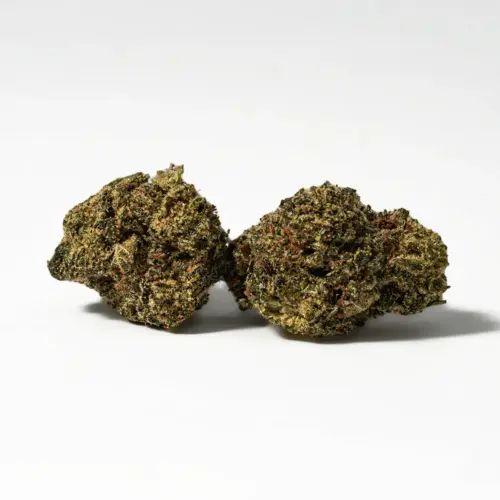 Grease Monkey is an indica dominant hybrid strain created through crossing the classic Gorilla Glue #4 with the delicious Cookies & Cream strain. This potent bud brings on the powerful effects and highly addictive flavor, flawlessly fusing those of its parent strains. With each rich inhale comes flavors of nutty vanilla and sweet skunky diesel.