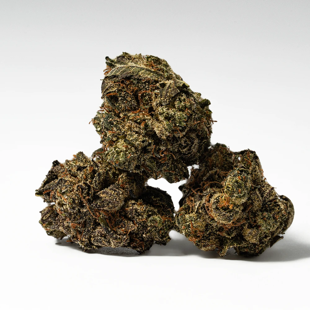 (Smalls) Grizzly Pink (AAAA) - Image 2