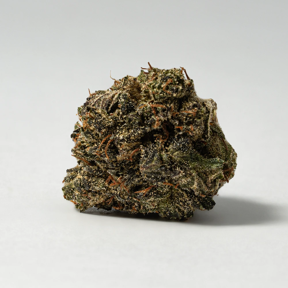 (Smalls) Grizzly Pink (AAAA) - Image 3