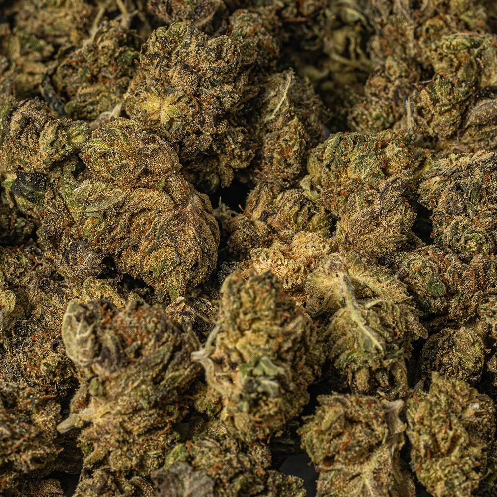 (Smalls) Grizzly Pink (AAAA) - Image 5