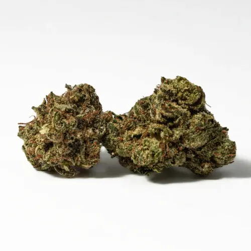 The Galactic Gas high is just as intoxicating as its scent, with calming yet creative effects that will have your mind soaring high while your body settles into a pleasant heaviness. You'll feel a sense of happiness wash over you a few minutes after your final toke, easing away any negative or racing thoughts almost immediately.