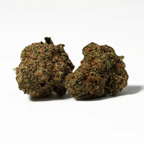 Jack of Spades is often sought after for its full-bodied effects that are perfect for artistic inspiration on a lazy weekend. The high starts with an immediate head high that offers a boosted mood and a substantial increase in creativity. As your head soars through hazy introspection, your body will fall into a relaxing high that's not buzzy. These effects are long-lasting in nature and won't typically end in sleep unless you toke too much at once or you're an inexperienced user.