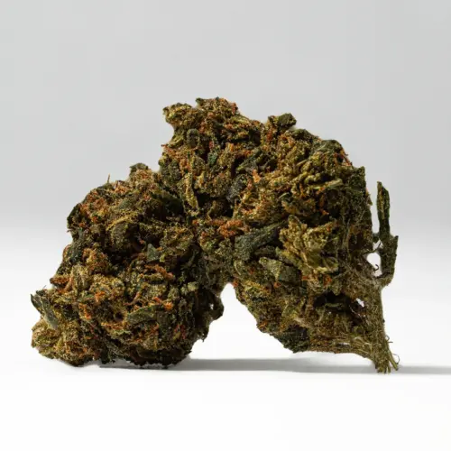 King Tut the strain is a sativa-dominant hybrid (sativa/indica ratio of 80:20) with an uncertain parentage, though it's known to descend from the legendary sativa-dominant AK-47.