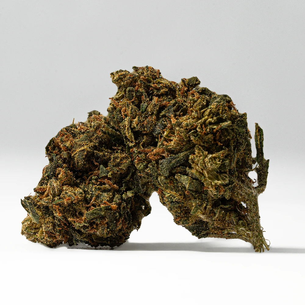 King Tut the strain is a sativa-dominant hybrid (sativa/indica ratio of 80:20) with an uncertain parentage, though it's known to descend from the legendary sativa-dominant AK-47.