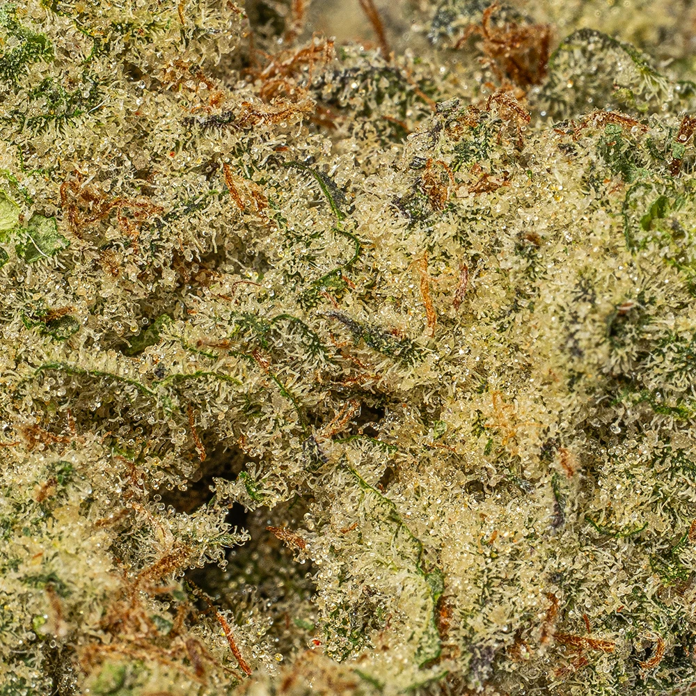 Lemon Sour Diesel (AAAA+) - Image 4