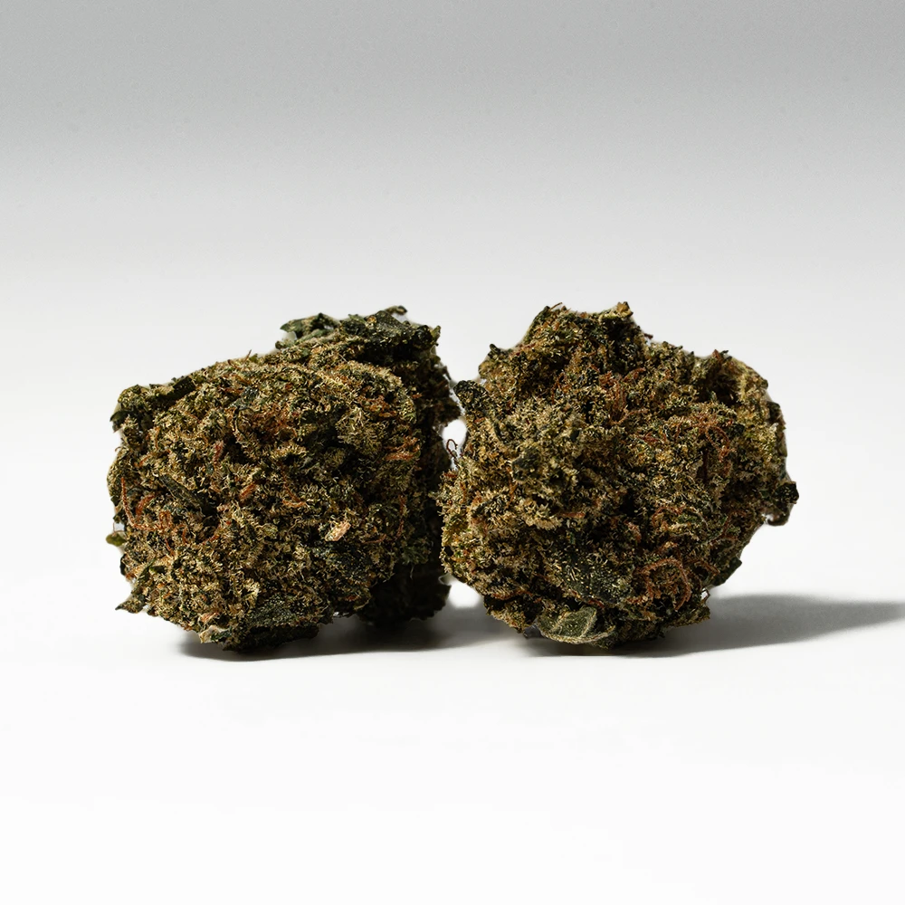 A favorite of hybrid lovers, Lindsay OG packs a full-bodied high that will hit both mind and body with a high level of potency. It starts in the head with a sense of clarity, clearing your mind and filling you with a lifted happiness and ease. As your mind settles into this clear-headed state, a deeply relaxing body high will wash over your physical form, locking you to the couch and leaving you pretty sedated.