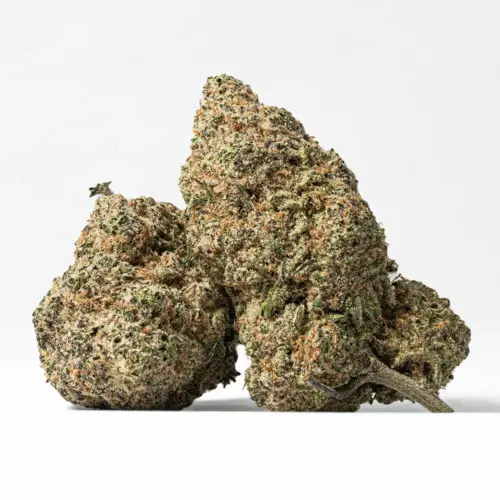 The taste of Peach Colada will have you dreaming of the beach, with a sweet and sugary peach taste accented by fresh tropical fruits and a punch of spice. The high will hit you quickly with lifted yet somehow mellow effects.