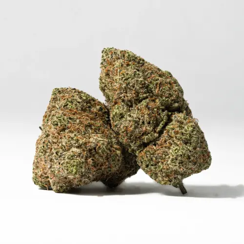 The Peyote Cookies high will get you almost as soon as you exhale, infusing you with heavy long-lasting effects that will leave you relaxed for hours on end. You'll feel a happy onset wash over you a few minutes after your first toke, lifting you into a state of relaxing bliss.