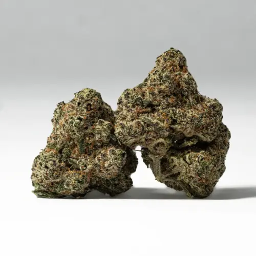 Platinum OG is a super-potent descendant of OG Kush, Master Kush, and an unknown parent. THC levels easily top 20% and have reportedly reached 24% in some tests. This indica-dominant hybrid has a sativa/indica ratio of 25/75, and that is reflected in the mostly physical high.