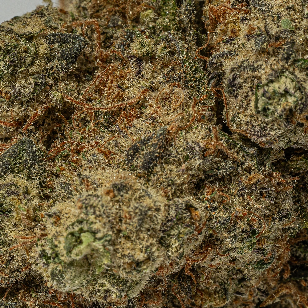 Platinum OG (AAAA) - Image 5